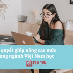 mức lương ngành Việt Nam học