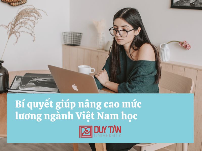 mức lương ngành Việt Nam học