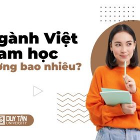 Ngành Việt Nam học lương bao nhiêu